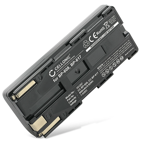 Batterie pour Canon ES-4000