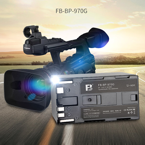 EOS C100 Mark II Batterie
